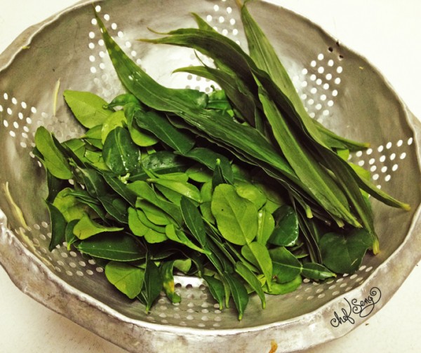 kaffirgingerleaves